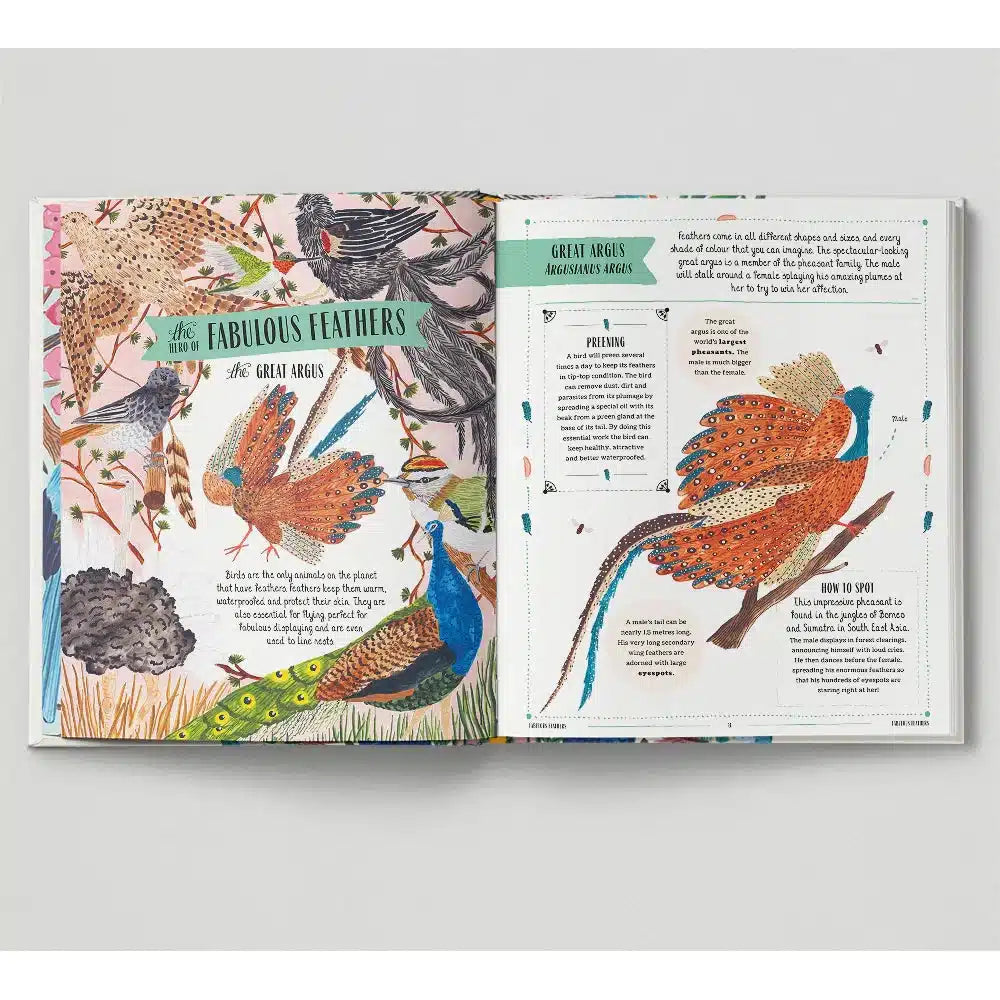 Fly: A Child's Guide to Birds & How to Spot Them - David Lindo | Scout & Co