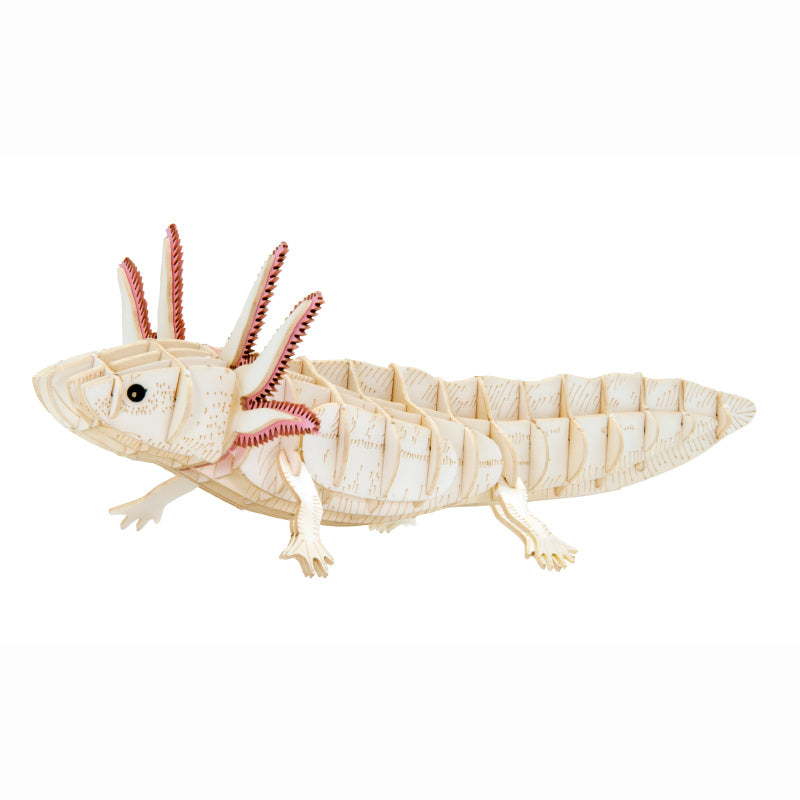 Fridolin - 3D cardboard animal puzzle - Axolotl | Scout & Co