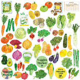 Haco - Vegetable Market stickers box | Scout & Co