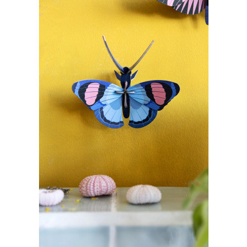 Studio Roof - Small wall art - Peacock Butterfly | Scout & Co