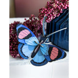 Studio Roof - Small wall art - Peacock Butterfly | Scout & Co
