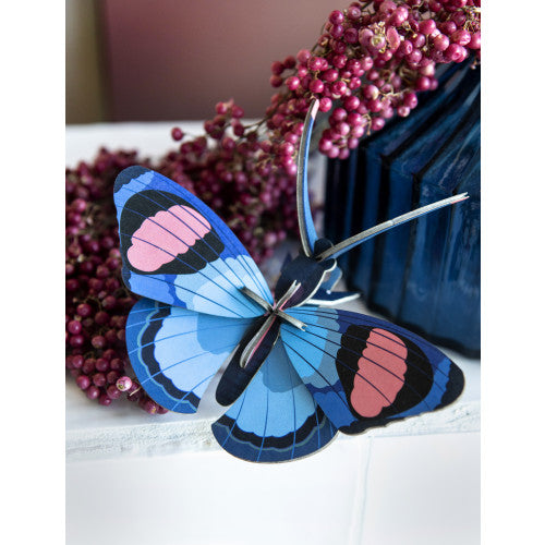 Studio Roof - Small wall art - Peacock Butterfly | Scout & Co