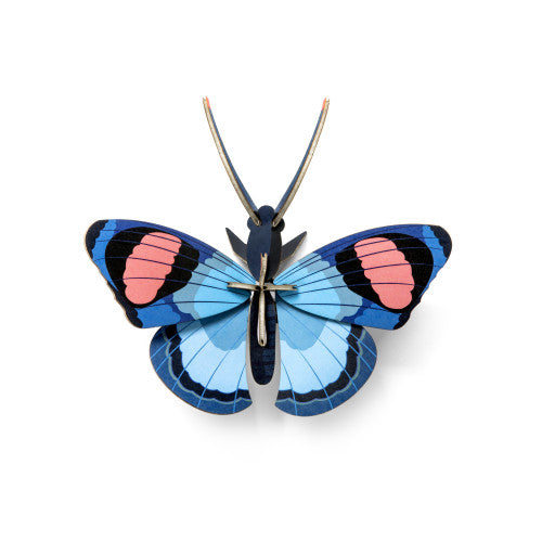 Studio Roof - Small wall art - Peacock Butterfly | Scout & Co