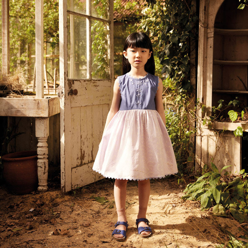 Apolina - Lola dress - Wallflower / Azul | Scout & Co