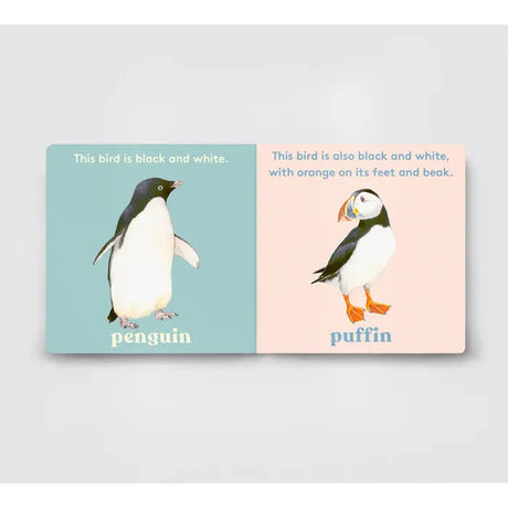 Look! A Bird - board book - Anya Serota | Scout & Co