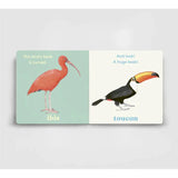 Look! A Bird - board book - Anya Serota | Scout & Co