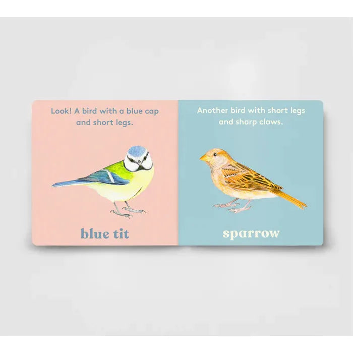 Look! A Bird - board book - Anya Serota | Scout & Co