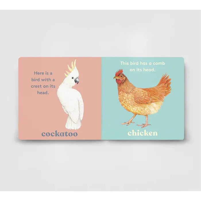Look! A Bird - board book - Anya Serota | Scout & Co