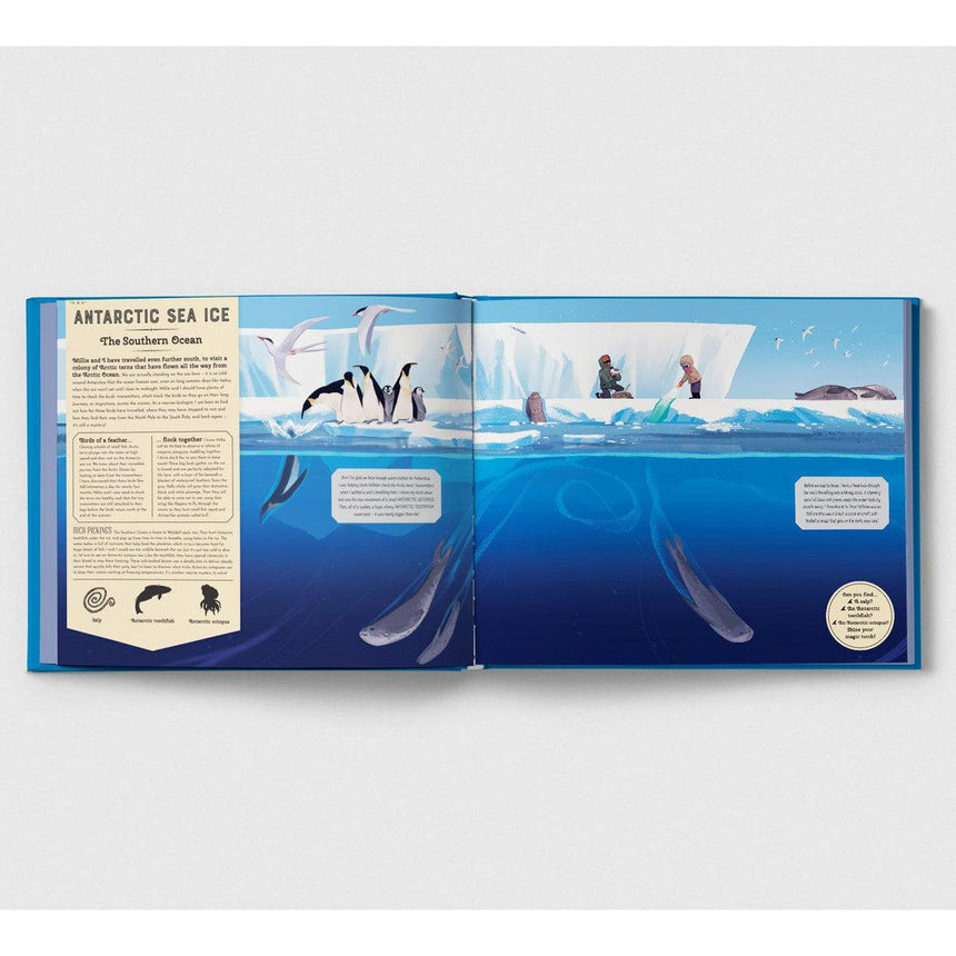 Shine Your Magic Torch: Mysteries Of The Ocean - Camilla de la Bedoyere | Scout & Co