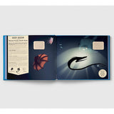 Shine Your Magic Torch: Mysteries Of The Ocean - Camilla de la Bedoyere | Scout & Co