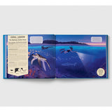 Shine Your Magic Torch: Mysteries Of The Ocean - Camilla de la Bedoyere | Scout & Co