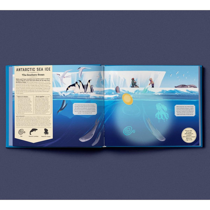 Shine Your Magic Torch: Mysteries Of The Ocean - Camilla de la Bedoyere | Scout & Co