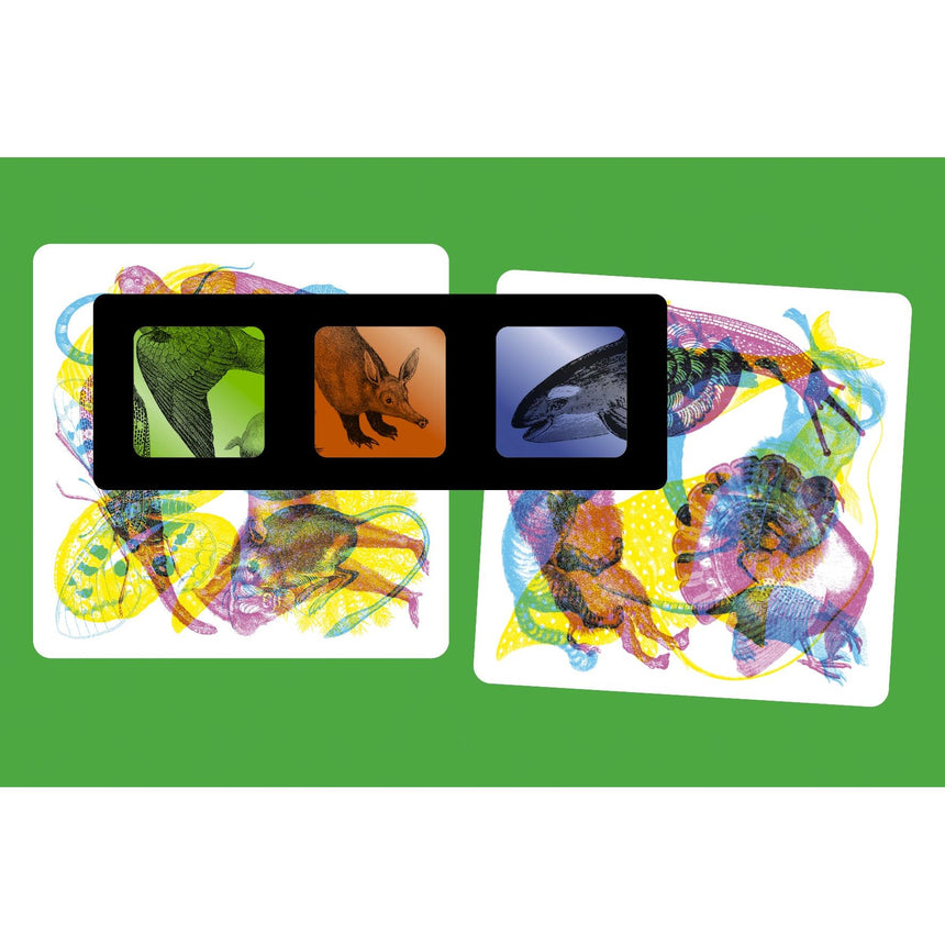 Illuminature: a spotting game | Scout & Co