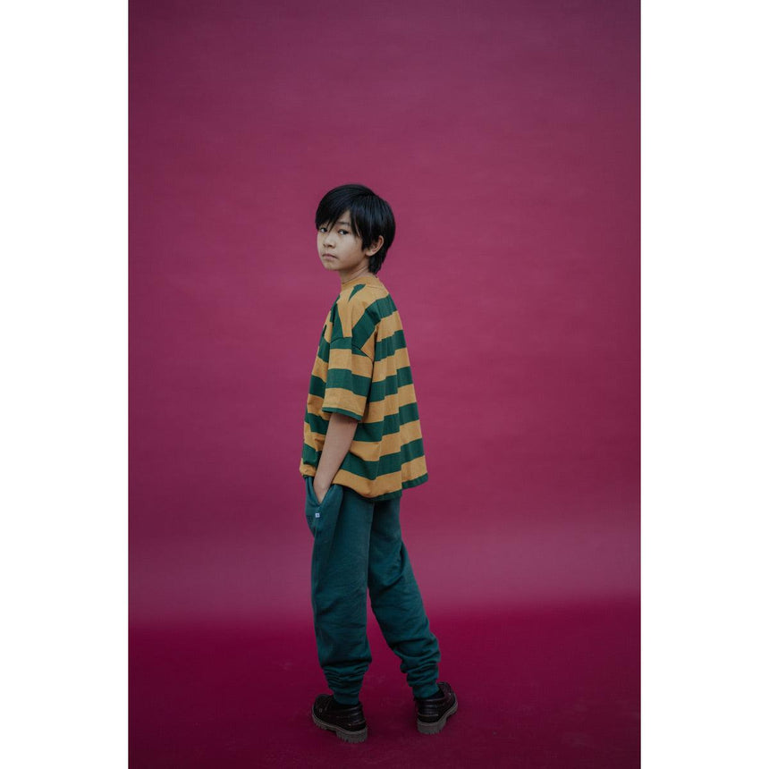 Repose AMS - Boxy T-shirt - Gold Country Green Stripe | Scout & Co