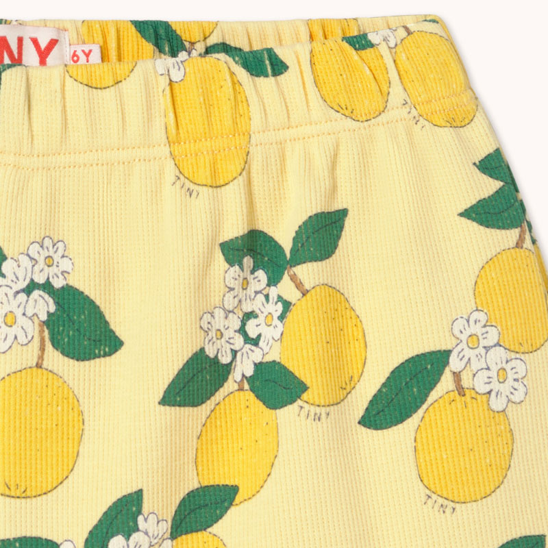 Tiny Cottons - Oranges rib shorts - mellow yellow | Scout & Co