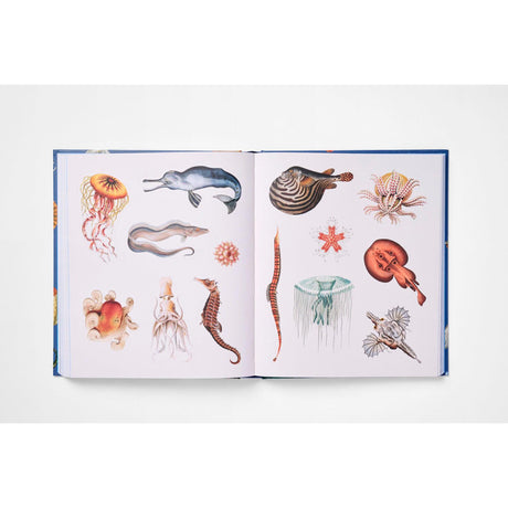 The Sticker Treasury of the Mystical and Esoteric | Scout & Co