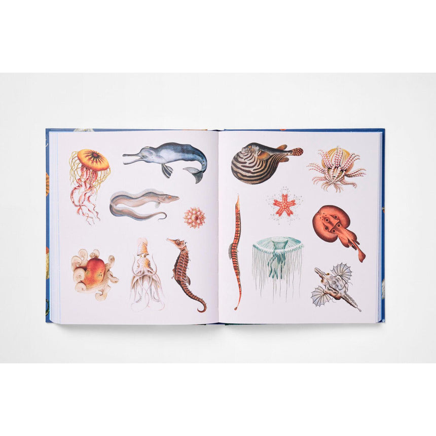 The Sticker Treasury of the Mystical and Esoteric | Scout & Co