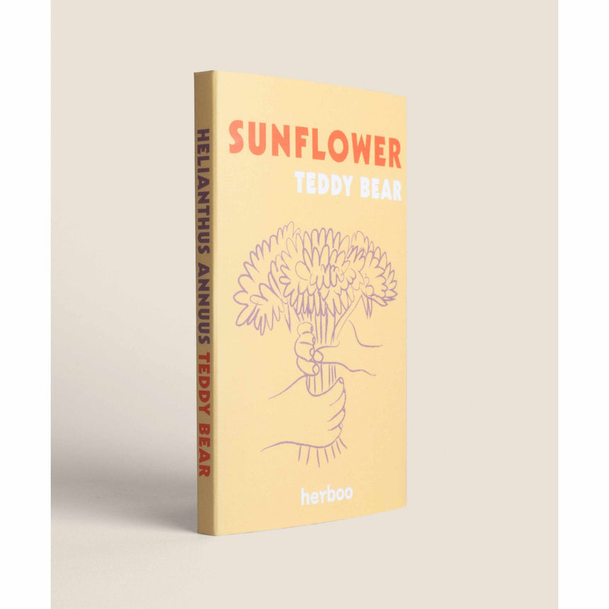 Herboo x Scout & Co exclusive - Sunflower 'Teddy Bear' seeds | Scout & Co