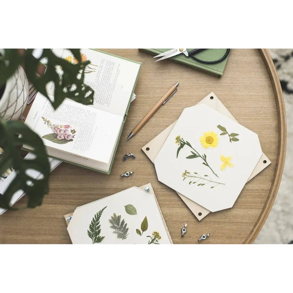 Studio Wald - Flower press - Poppy | Scout & Co