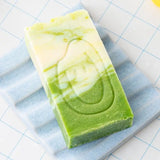 Tarta Gelatina - Aloe Vera Soap | Scout & Co