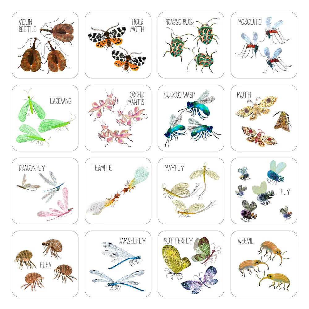 Bugtastic Bingo game - Yuval Zommer | Scout & Co