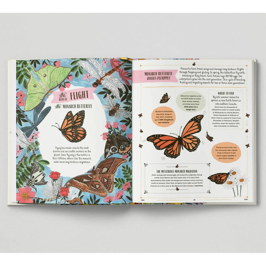Buzz: A Child's Guide To Bugs & Bees - Richard Jones | Scout & Co