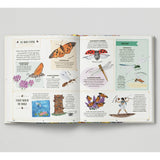 Buzz: A Child's Guide To Bugs & Bees - Richard Jones | Scout & Co