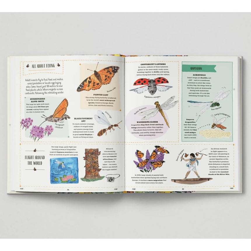 Buzz: A Child's Guide To Bugs & Bees - Richard Jones | Scout & Co