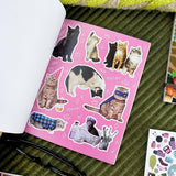 Pipsticks - Hiss-terically Funny Cat Sticker Book | Scout & Co
