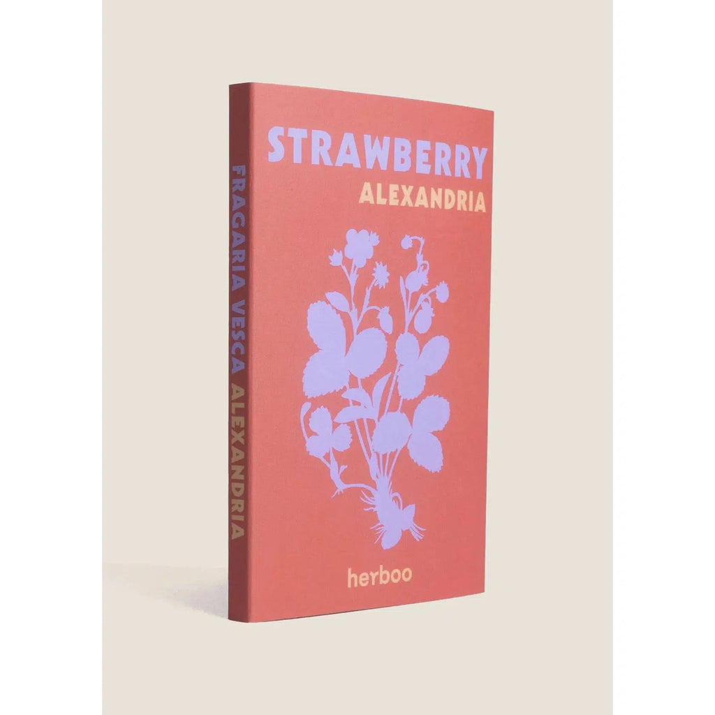 Herboo - Strawberry 'Alexandria' seeds | Scout & Co
