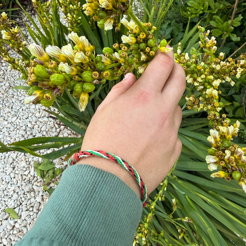 Cotton Twist - Make Your Own Watermelon Kumihimo Bracelet craft kit | Scout & Co