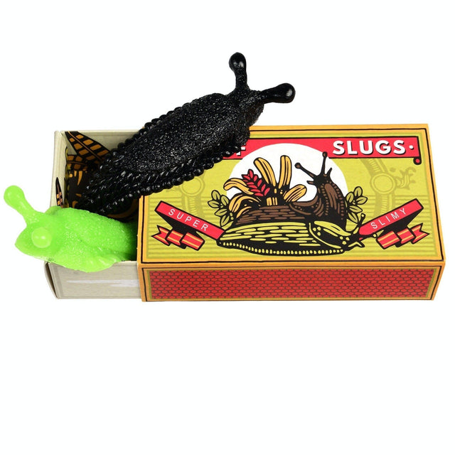 Rex - Box of Two Slimy Slugs | Scout & Co