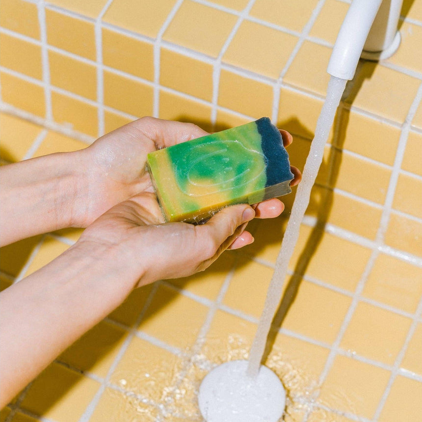 Tarta Gelatina - Avocado soap | Scout & Co