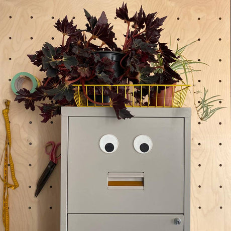 Petra Boase - Giant eyeballs magnets | Scout & Co