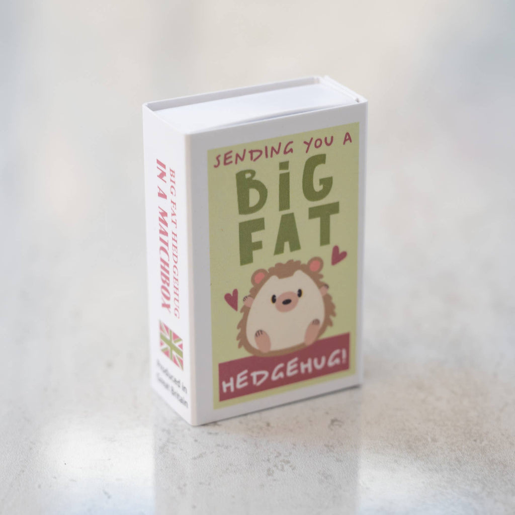 Sending You A Hedgehug In A Matchbox | Scout & Co
