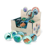 Rex - Dinosaur bouncy balls | Scout & Co