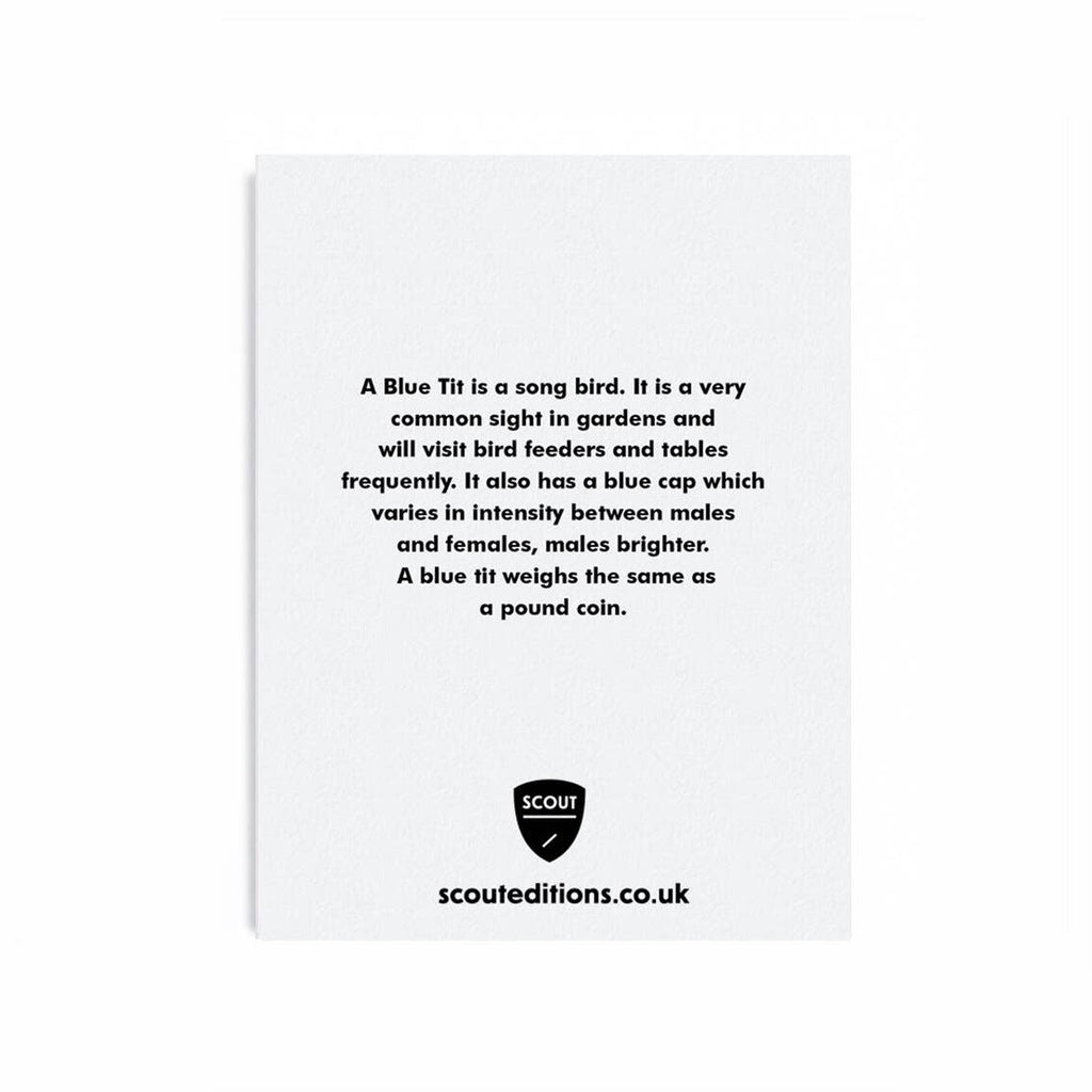 Scout Editions - Blue Tit mini card | Scout & Co