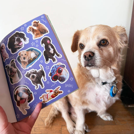 Pipsticks - Dog-gone Adorable Dog sticker book | Scout & Co