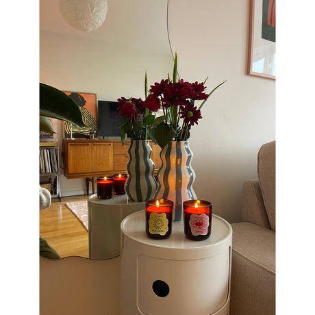 Two~Good - Rooted soy wax scented candle | Scout & Co