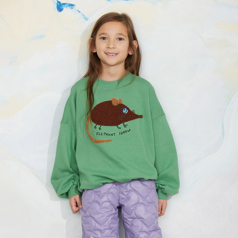Mini Rodini - Elephant Shrew chenille sweatshirt - green