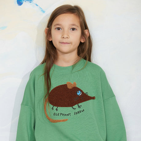 Mini Rodini - Elephant Shrew chenille sweatshirt - green | Scout & Co