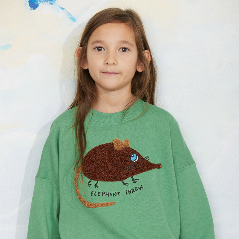 Mini Rodini - Elephant Shrew chenille sweatshirt - green