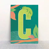 Monimari - Alphabet postcards | Scout & Co