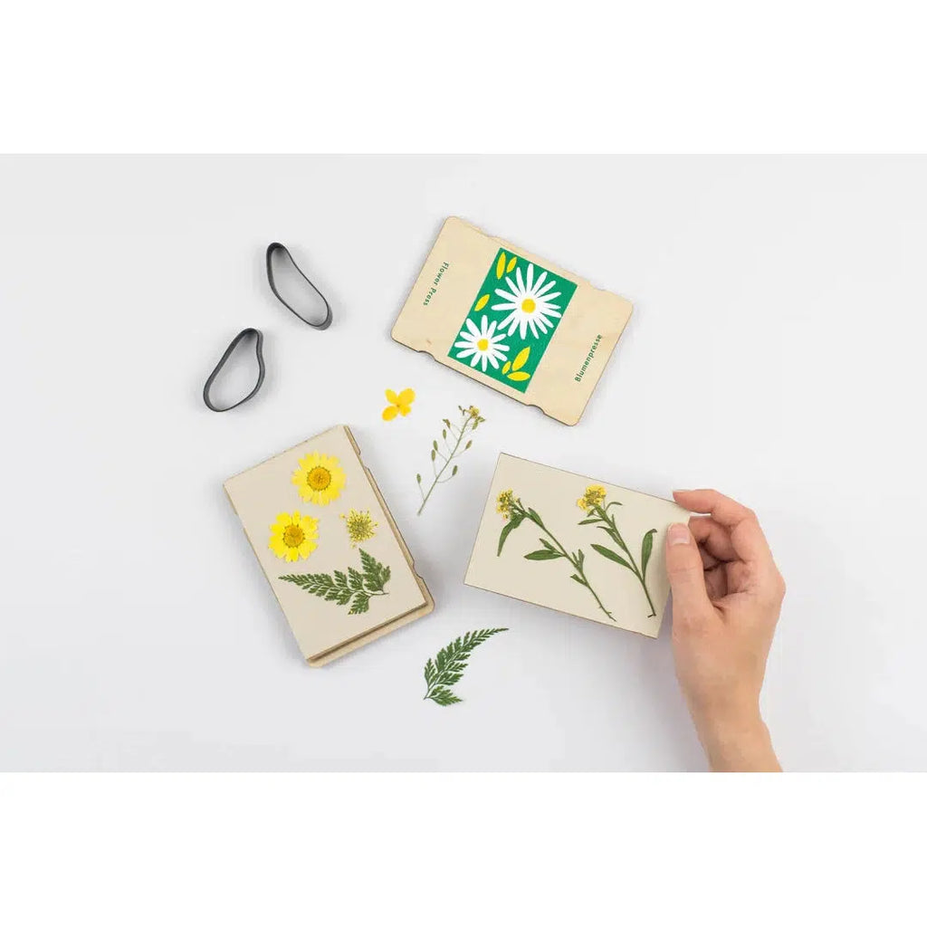 Studio Wald - Pocket flower press - Daisy | Scout & Co