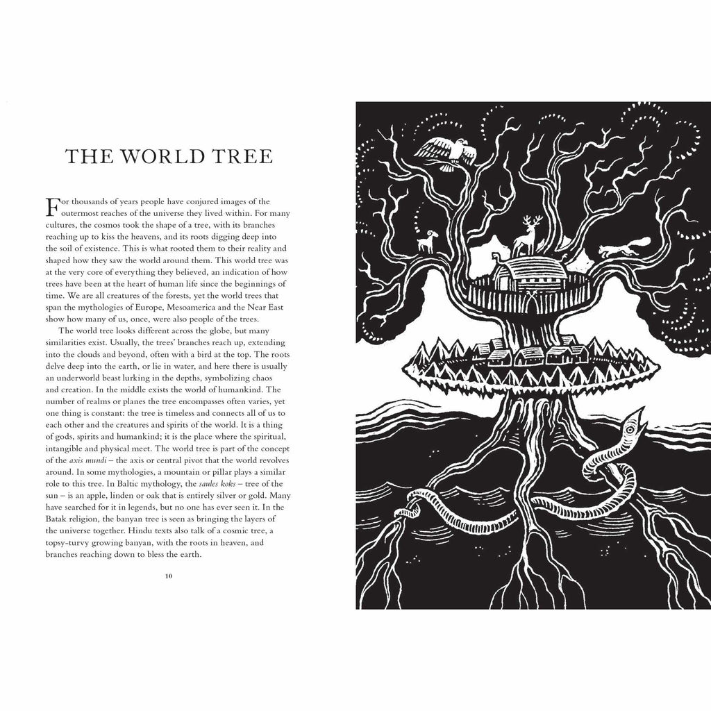 Treasury of Folklore: Woodlands and Forests - Dee Dee Chainey | Scout & Co