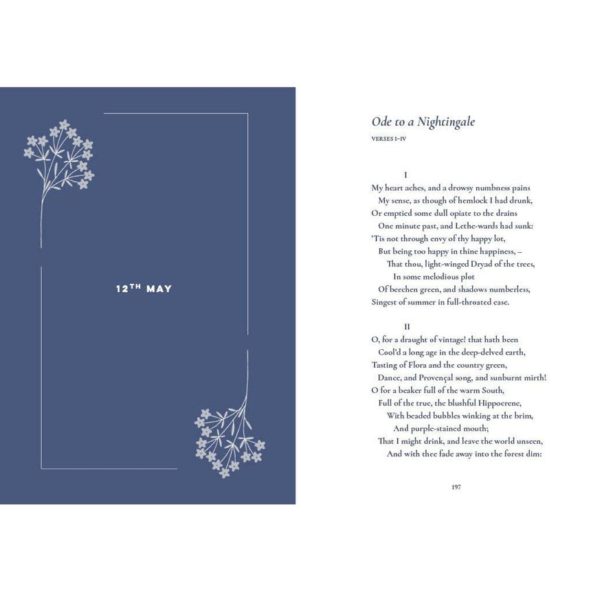 A Nature Poem For Every Spring Evening - Jane McMorland Hunter | Scout & Co