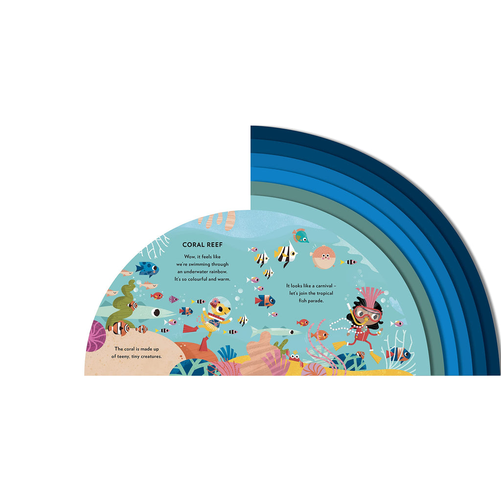 Explore Under the Sea board book - Carly Madden | Scout & Co