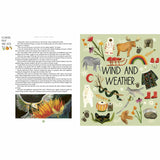 A World Full Of Nature Stories: 50 folk tales & legends - Angela McAllister | Scout & Co