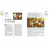 A World Full Of Nature Stories: 50 folk tales & legends - Angela McAllister | Scout & Co