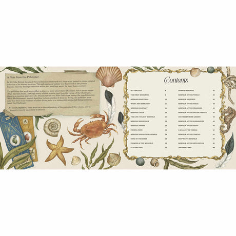 A Natural History of Mermaids - Emily Hawkins | Scout & Co